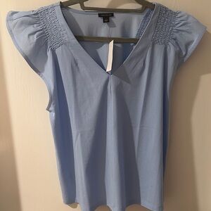 Ann Taylor Sky Blue V-Neck Blouse